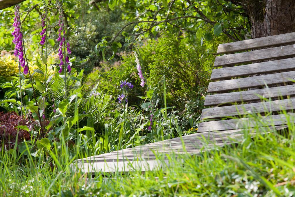 Glebe Farm B&B Kingsbridge  Zewnętrze zdjęcie