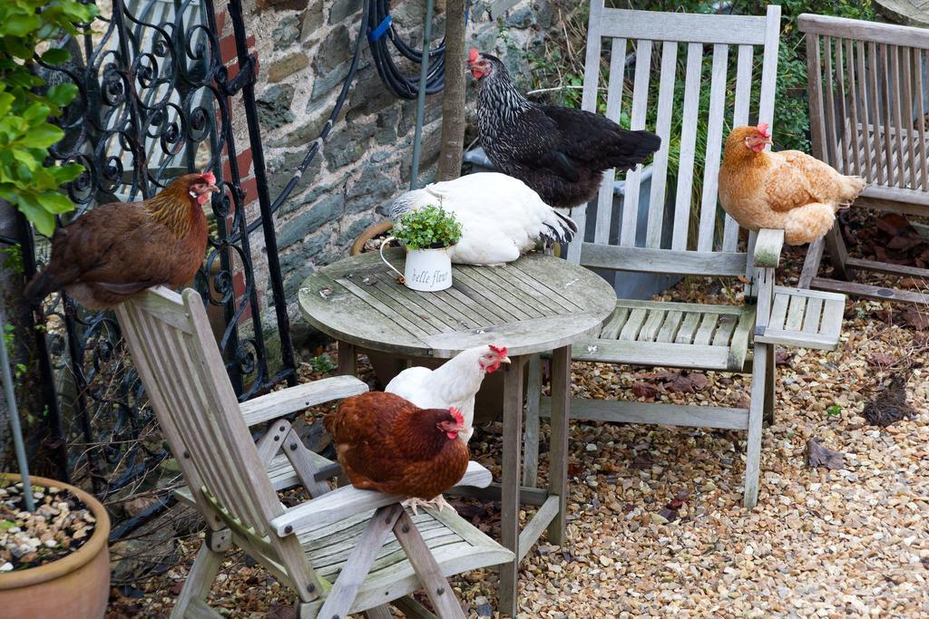 Glebe Farm B&B Kingsbridge  Zewnętrze zdjęcie